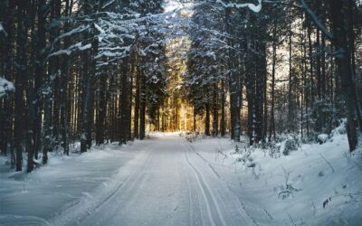 Winter: A Time of Rejuvenation and Potential