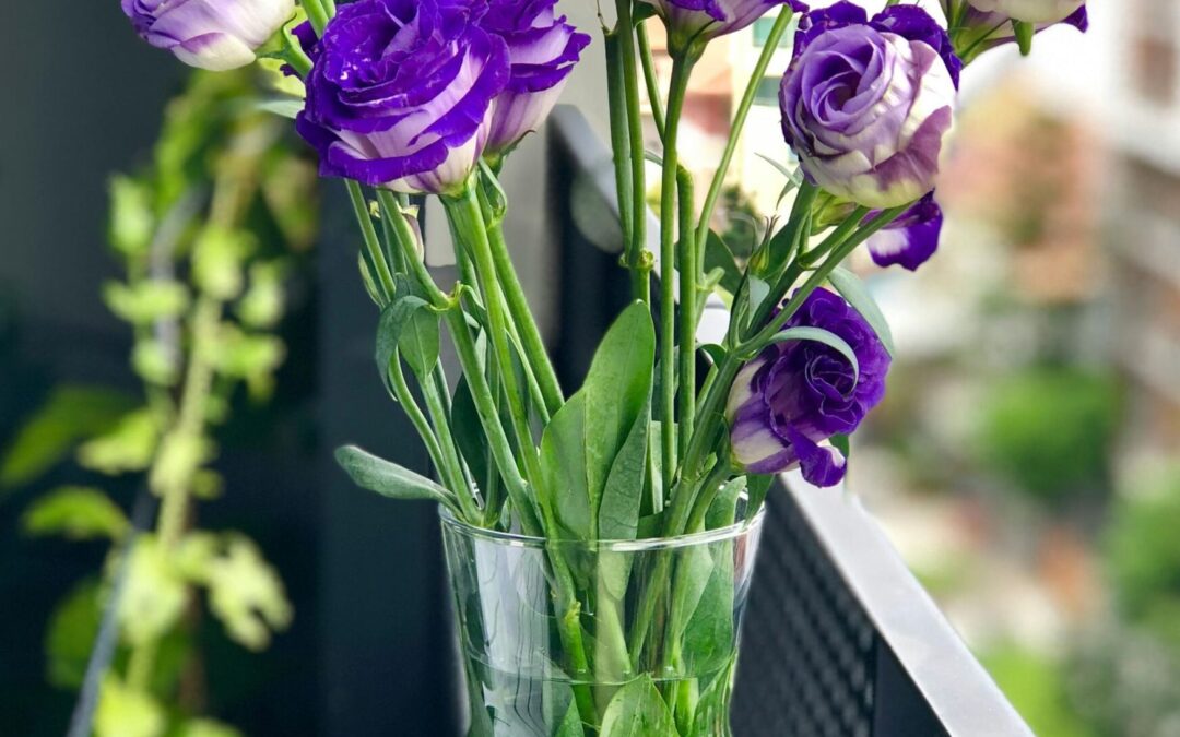 Spring Wellness
